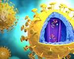 Phát hiện chủng mới của virus HIV