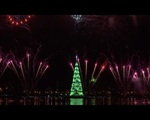 Thắp sáng cây thông Noel khổng lồ ở Brazil