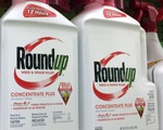 Australia xử vụ kiện Monsanto về thuốc diệt cỏ gây ung thư