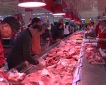 Trung Quốc đẩy nhanh nỗ lực phục hồi hoạt động sản xuất thịt lợn