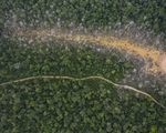 Các đám cháy rừng Amazon làm băng tan nhanh hơn