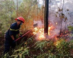 Khống chế vụ cháy rừng ở Bắc Giang
