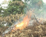 Nguy cơ cao xảy ra cháy rừng ở Lào Cai