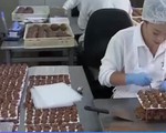Australia: Các hãng chocolate tất bật chuẩn bị cho Valentine
