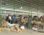 Hàng trăm công nhân Hà Tĩnh bị nợ lương