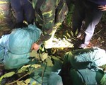 Phá chuyên án gần 280kg ma túy đá tại Hà Tĩnh