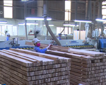Việt Nam đứng thứ hai châu Á về xuất khẩu gỗ và lâm sản