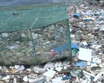 Việt Nam xếp thứ 4 trên thế giới về xả rác thải nhựa ra biển