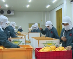 Việt Nam đề nghị Trung Quốc tạo thuận lợi nhập khẩu nông sản