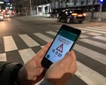 Đèn đường chống tai nạn cho người nghiện điện thoại tại Hàn Quốc