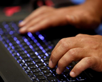 Cảnh báo gia tăng các vụ lừa đảo trực tuyến tại Mỹ