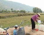 Gian nan lấy nước sinh hoạt vùng Bảy Núi