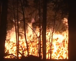 Điều tra về vụ cháy rừng quốc gia Nga