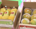 Việt Nam có 6 loại trái cây được phép xuất khẩu vào Mỹ