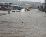 33 người thiệt mạng do lũ lụt ở Nam Phi