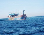 BĐBP tỉnh Quảng Ninh cứu nạn tàu cá gặp nạn
