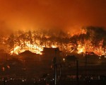 Cháy rừng nghiêm trọng tại Hàn Quốc