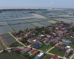 Ninh Bình phát triển kinh tế bãi ngang ven biển