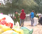 Thừa Thiên Huế chung tay làm sạch bờ biển