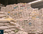 Thêm thách thức với gạo Việt trong tiếp cận thị trường Philippines