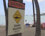 Hãi hùng cá mập cắn chết người ở vùng biển Hawaii