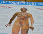 8 triệu người tử vong mỗi năm vì thuốc lá