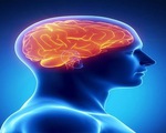 Thử nghiệm tác động vào não để cai nghiện ma túy