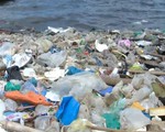 Tanzania cấm sử dụng túi nhựa