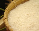 Giá gạo xuất khẩu của Ấn Độ và Việt Nam giảm do nhu cầu yếu