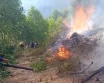 15ha rừng thông tại Nghệ An bị cháy rụi