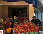 Tái diễn việc lùi cân vô lý trong thu mua vải thiều ở Lục Ngạn (Bắc Giang)