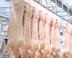 Thịt lợn nhập khẩu ồ ạt vào Việt Nam, ngành chăn nuôi tiếp tục gặp khó