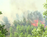 Khó kiểm soát cháy rừng tại Hương Sơn, Hà Tĩnh