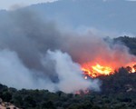 Cháy rừng do nắng nóng tại Pháp