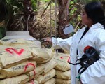 Mexico phát hiện 3 cơ sở điều chế ma túy lớn
