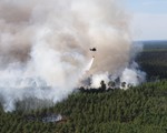 Hàng trăm người phải sơ tán do cháy rừng tại Đức