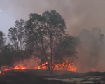 Quảng Trị: Nguy cơ cháy rừng bùng phát do nắng nóng