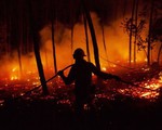 Bồ Đào Nha: Phát hiện nhiều thiết bị nổ gần khu vực cháy rừng