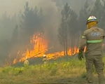 Bồ Đào Nha huy động hơn 1.000 lính cứu hỏa đối phó với cháy rừng