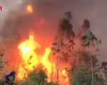 2 vụ cháy rừng liên tiếp tại Phú Yên: Cơ bản khống chế được một đám cháy