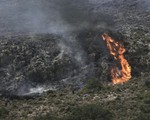 Hy Lạp ra cảnh báo đỏ về nguy cơ cháy rừng trên toàn quốc