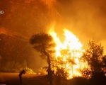 Hy Lạp ban bố tình trạng khẩn cấp do cháy rừng
