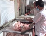 40 tấn thịt tại cơ sở làm giò chả nhiễm dịch tả lợn châu Phi