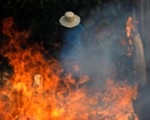 Brazil cấm đốt nương rẫy trong mùa khô để ngăn chặn cháy rừng