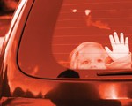 Vì sao trẻ bị bỏ quên trong xe dưới trời nắng, tỷ lệ tử vong sẽ cao?