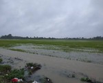 Đắk Lắk tập trung ứng phó mưa lũ