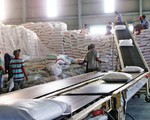 Xuất khẩu gạo: Bài toán cân đối mục tiêu kinh tế và đảm bảo an ninh lương thực quốc gia