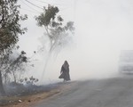 Indonesia đóng cửa các lâm trường để hạn chế cháy rừng