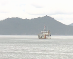 46 ngư dân Quảng Ngãi đã về bờ an toàn