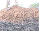 Phú Yên phát hiện một số khu vực có khối đá giống Gành Đá Dĩa